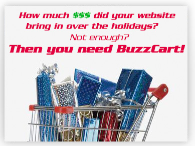 How much $$$ did your website bring in this holiday season? You need BuzzCart!